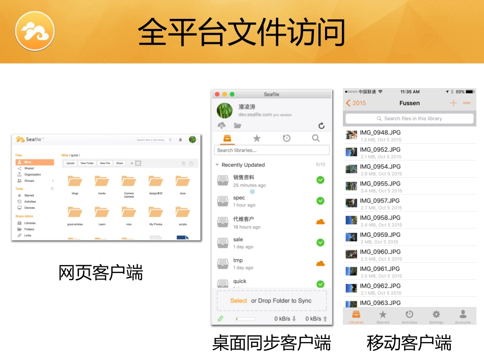 Seafile-企业网盘方案_第3页