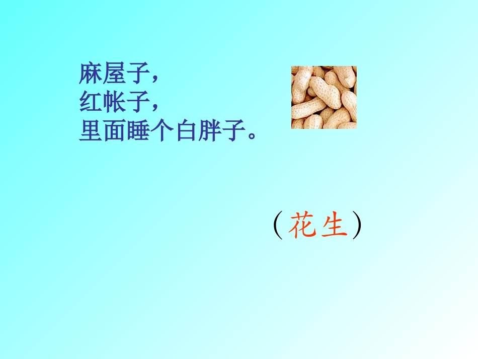 小松鼠找花生_第1页