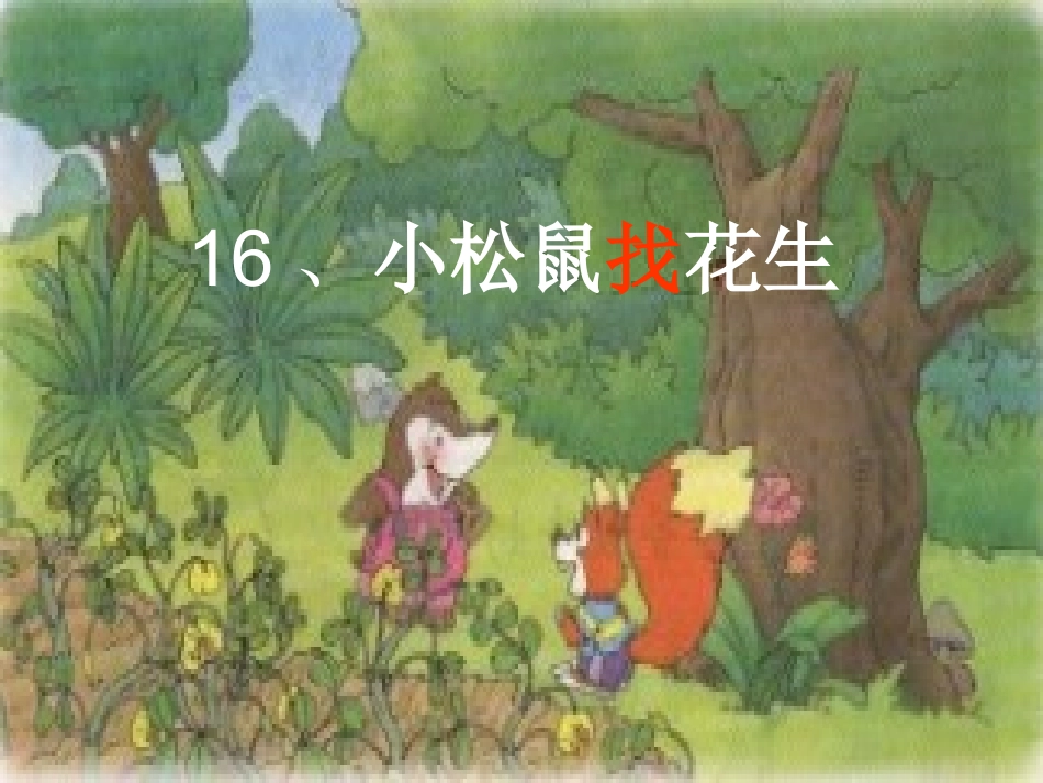 小松鼠找花生_第2页