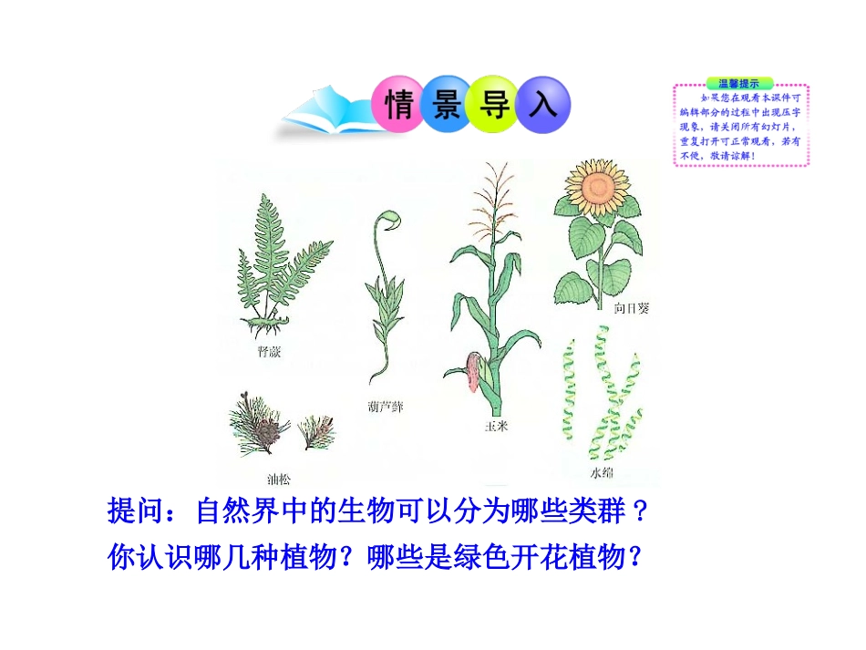 第2节植物的主要类群_第2页