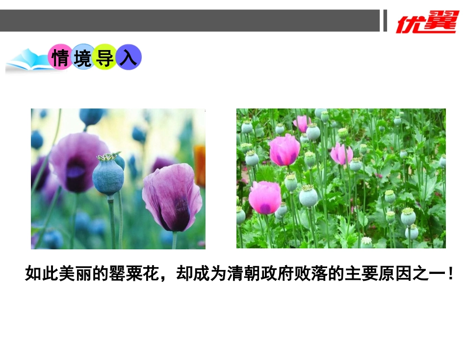 第1课鸦片战争-(9)_第2页