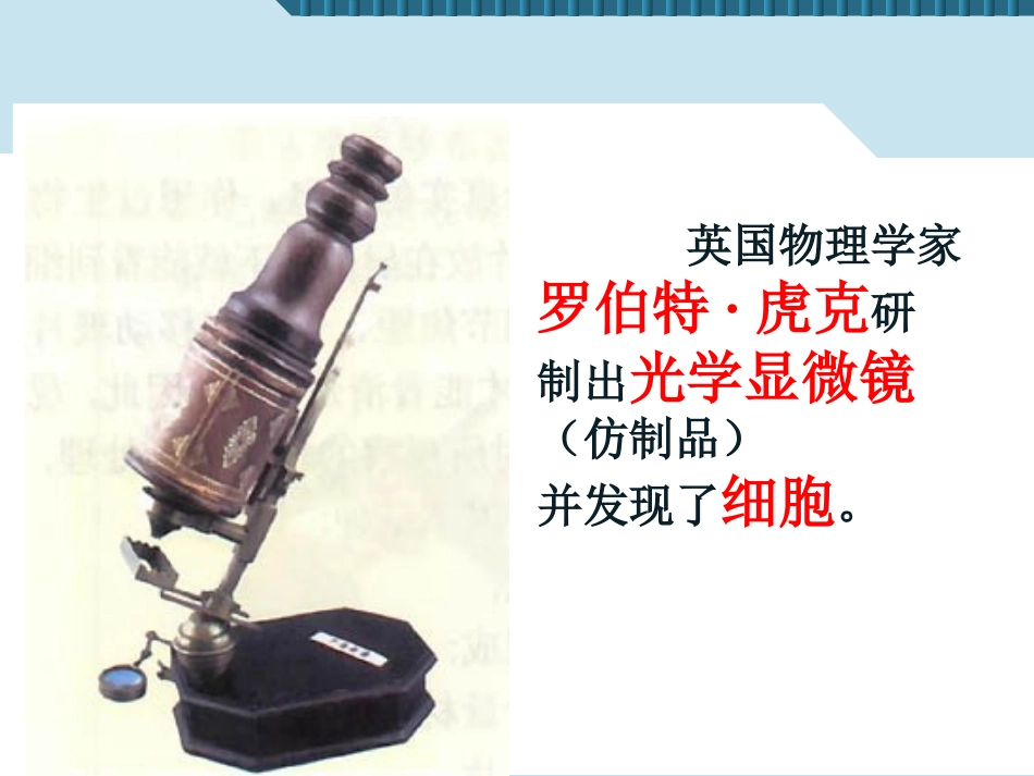 练习使用显微镜_第2页
