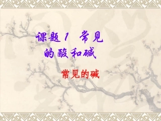 课题1-常见的酸和碱-(2)