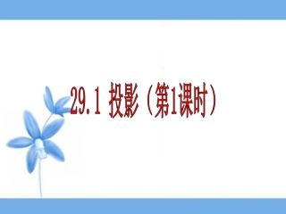29.1投影