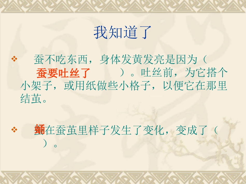 蛹变成了什么_第1页