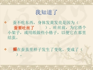 蛹变成了什么