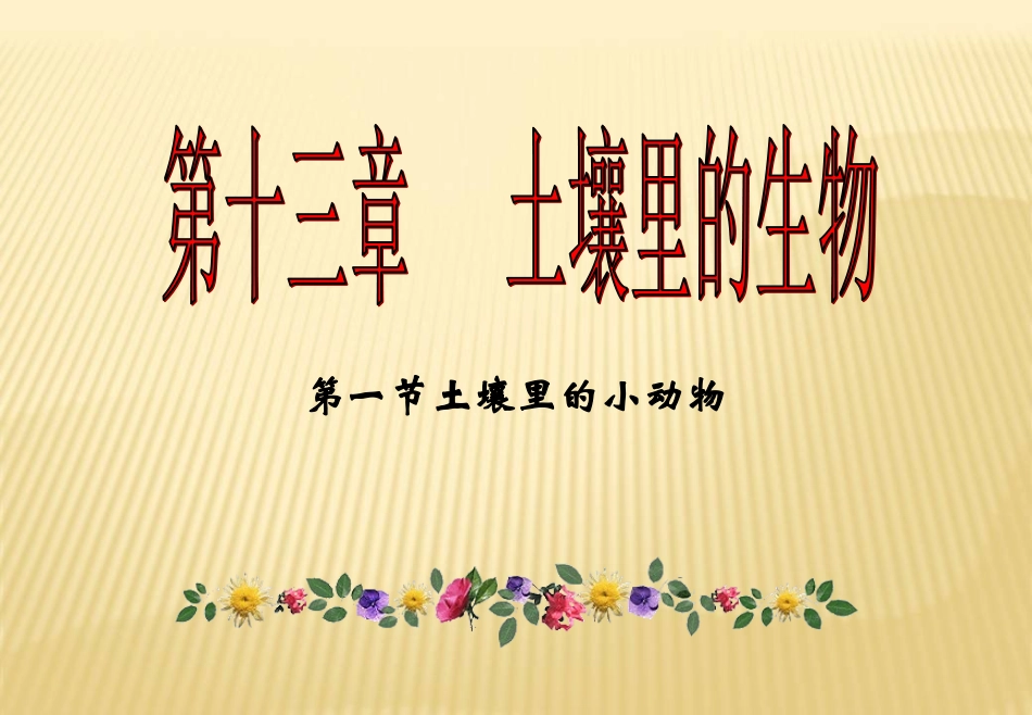 第1节土壤里的小动物_第1页