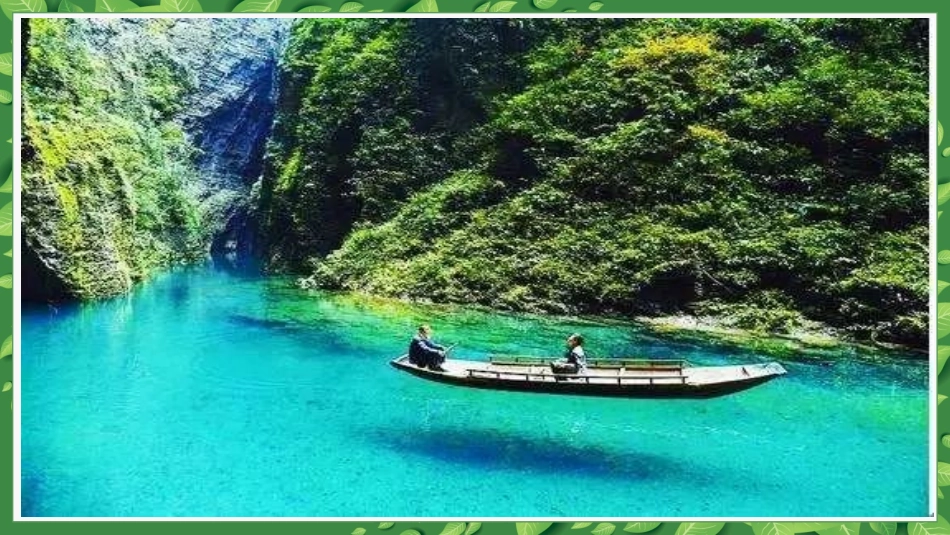 第1节绿色植物在生物圈中的作用_第2页