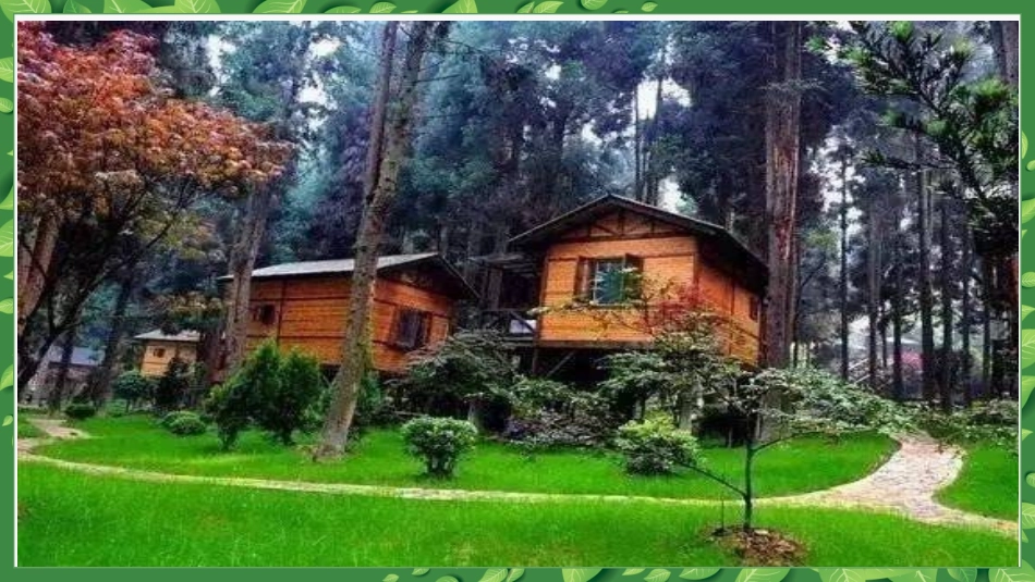 第1节绿色植物在生物圈中的作用_第3页