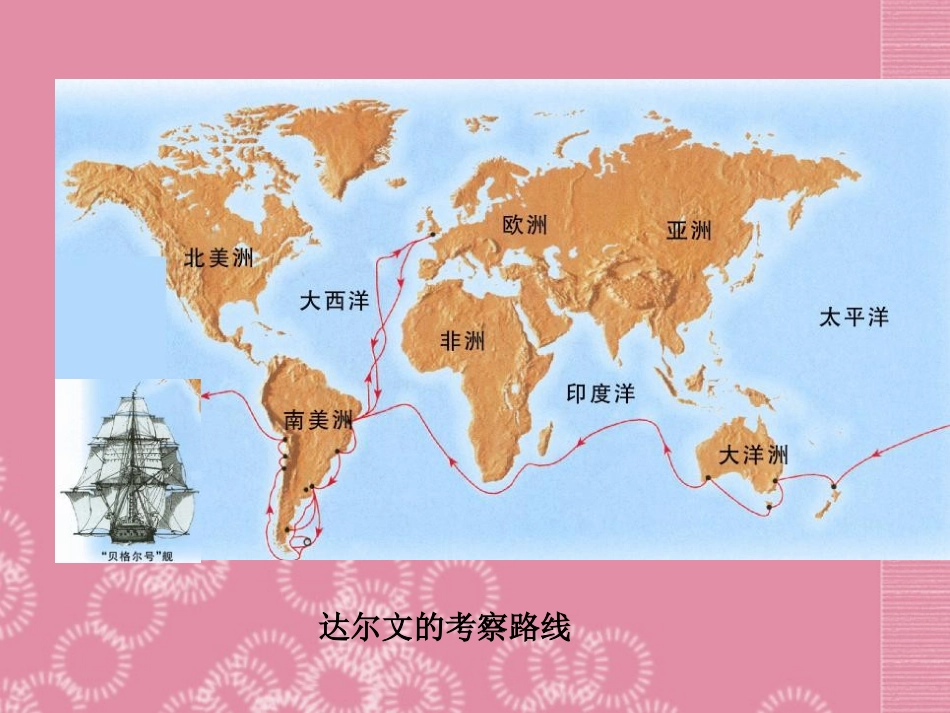 河南省洛阳市第二外国语学校八年级生物下册《生物进化的学说》课件-新人教版_第3页