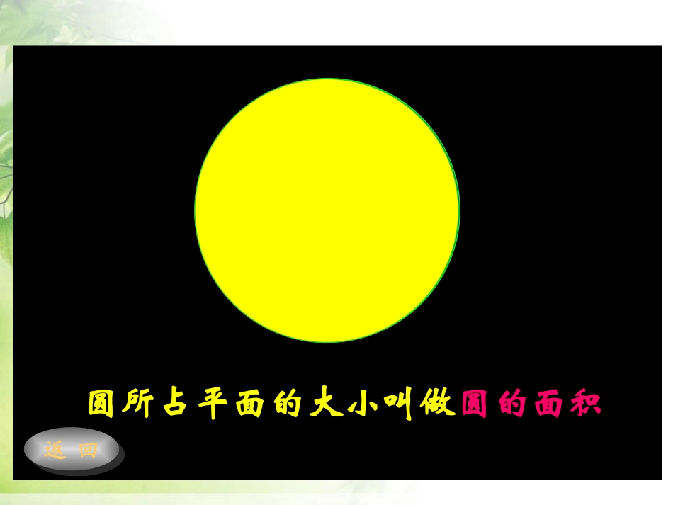 圆的面积-(5)_第3页