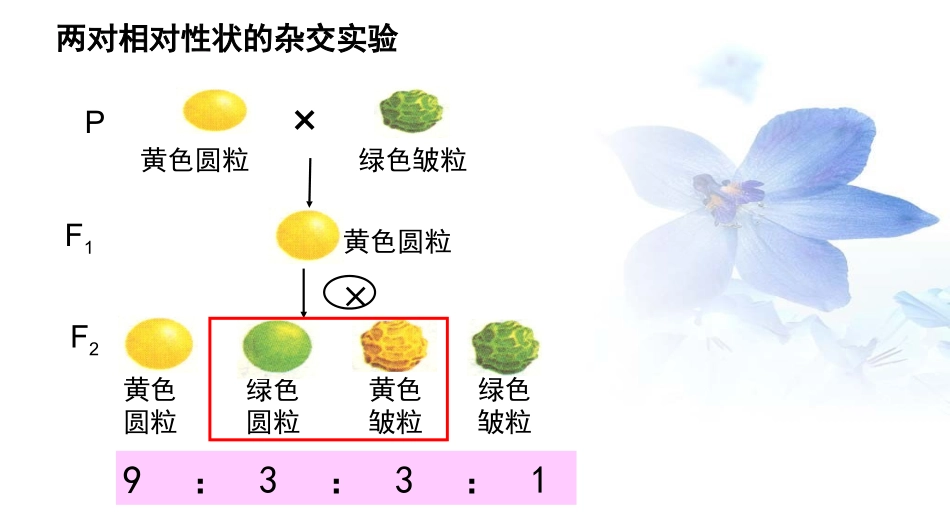 第1节基因突变_第2页
