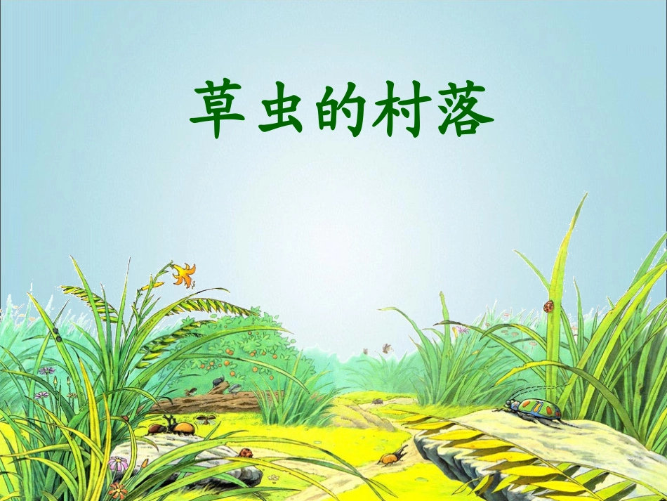 《草虫的村落》课件2_第1页