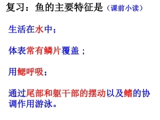 第五节-两栖动物和爬行动物