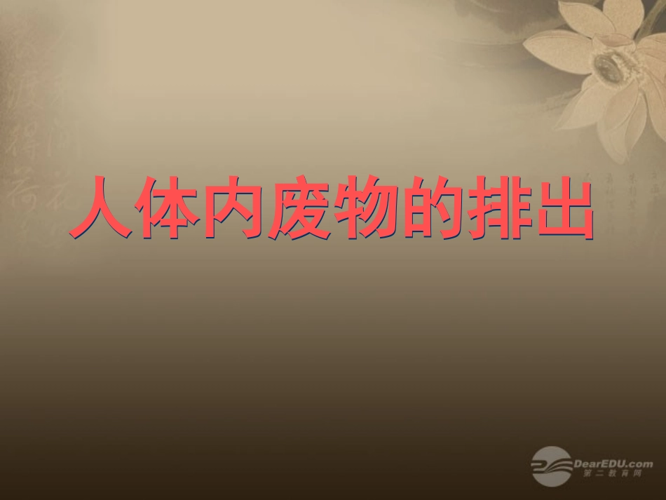 八年级生物上册人体内废物的排出课件苏科版_第1页