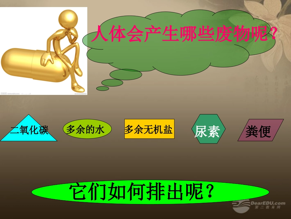 八年级生物上册人体内废物的排出课件苏科版_第3页