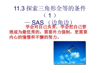 探索三角形全等的条件(1)SAS