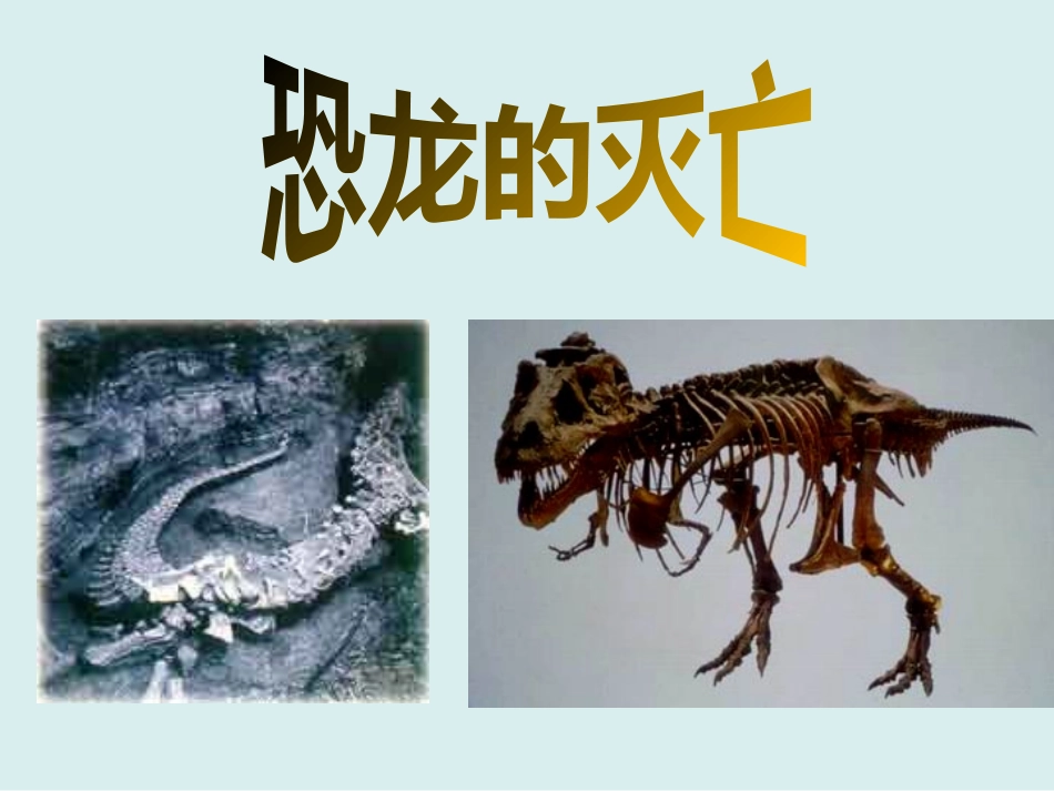 被压扁的沙子_第3页