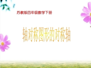 图形的对称1