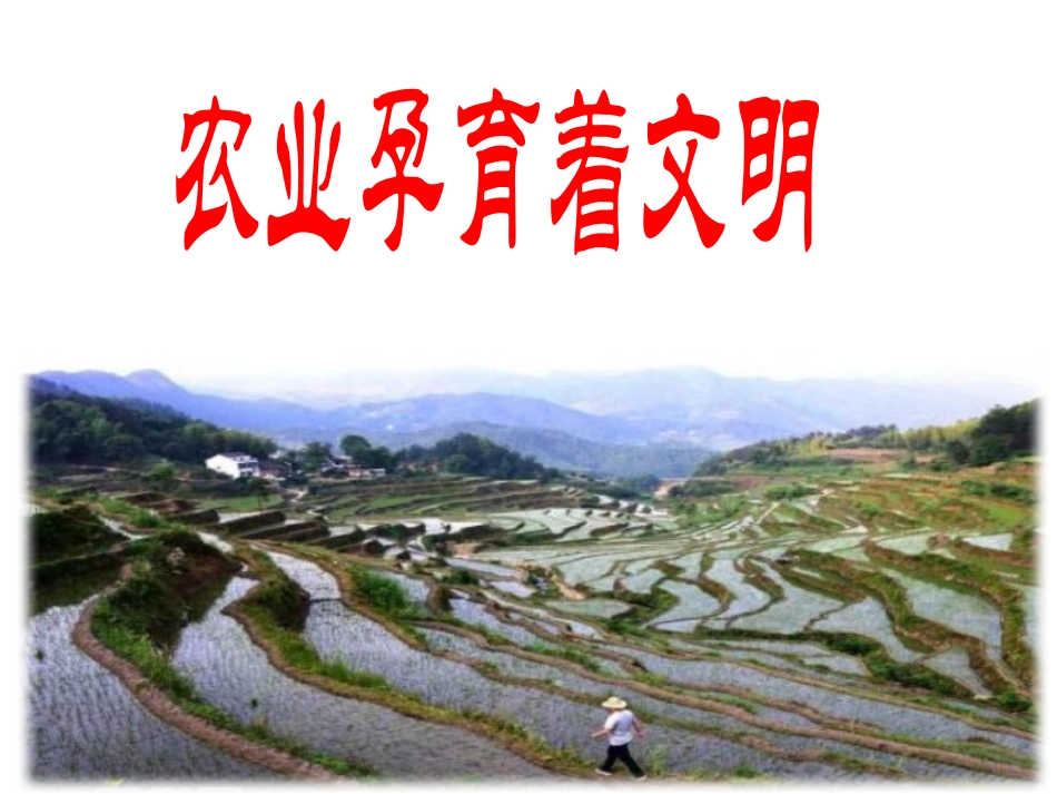 3农业是人类文明的摇篮-(2)_第1页