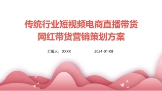 传统行业短视频电商直播带货网红带货营销策划方案
