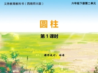 圆柱的侧面积-(3)