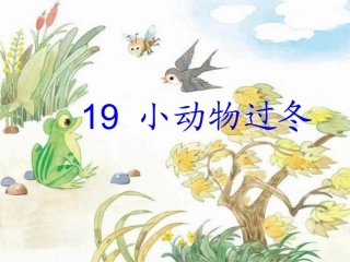 小动物过冬课件