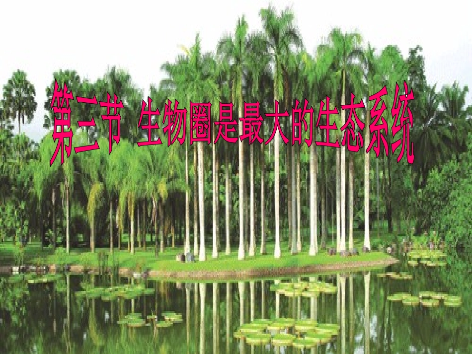 第三节--生物圈是最大的生态系统_第2页