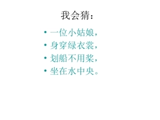 (力荐)14荷叶圆圆(1)