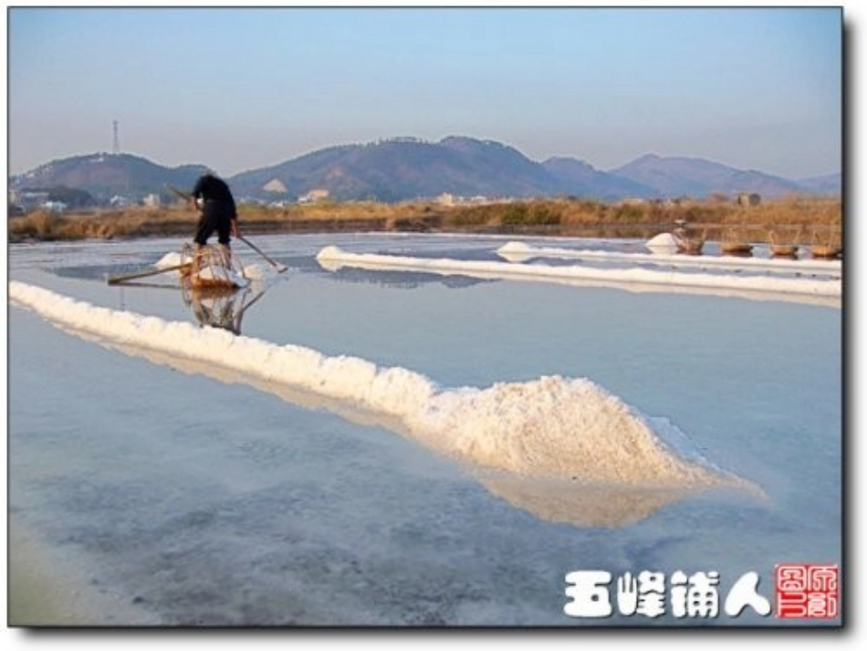 第二单元-研究物质的实验方法_第1页