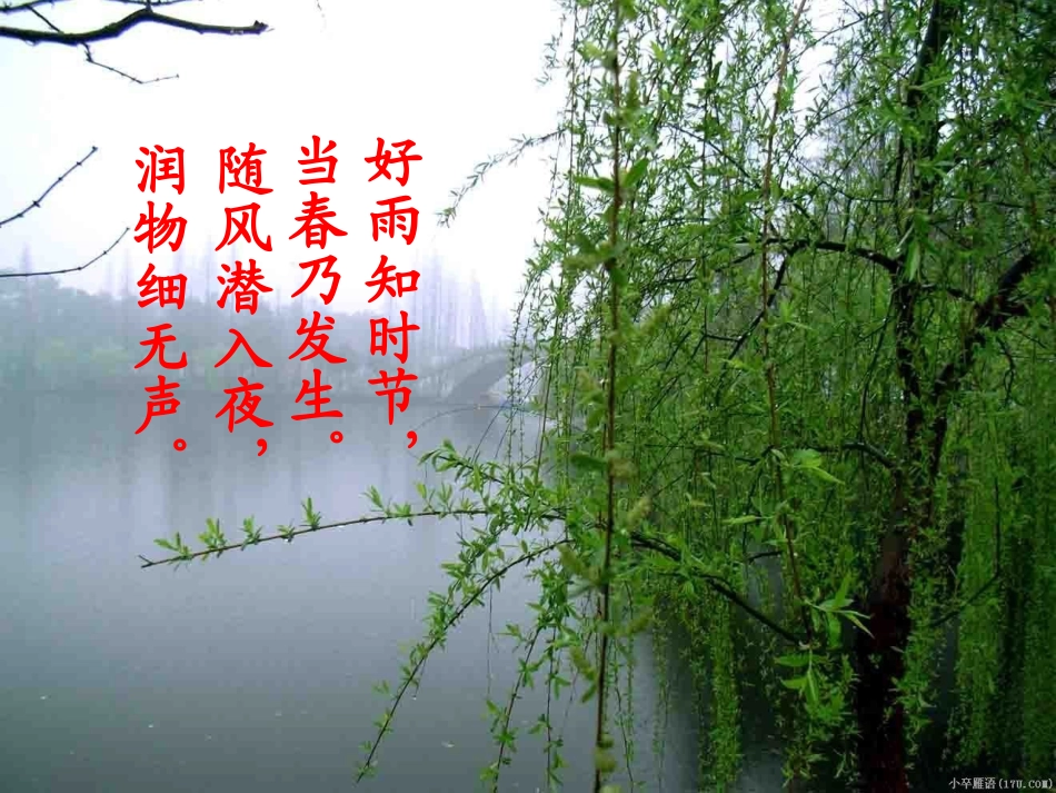 根对水分的吸收——双城忠植中学赵春光_第1页