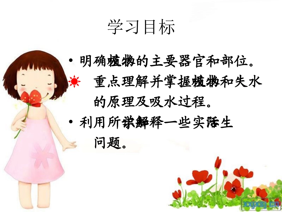 根对水分的吸收——双城忠植中学赵春光_第3页