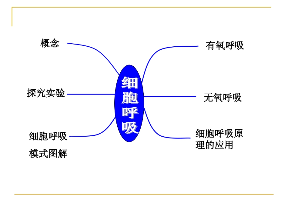 细胞呼吸的过程_第2页