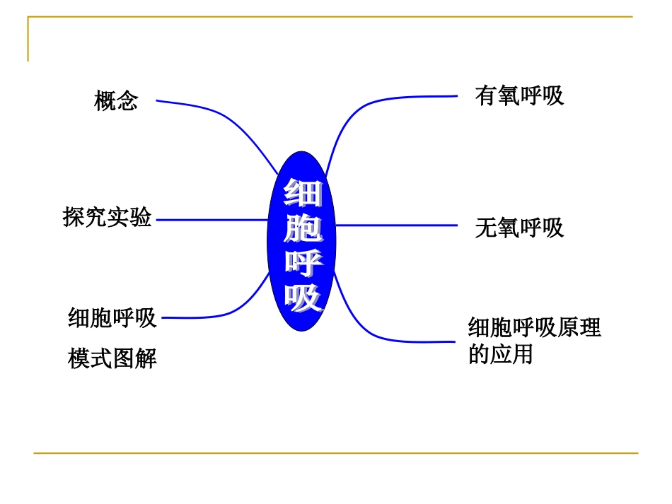 细胞呼吸的过程_第3页