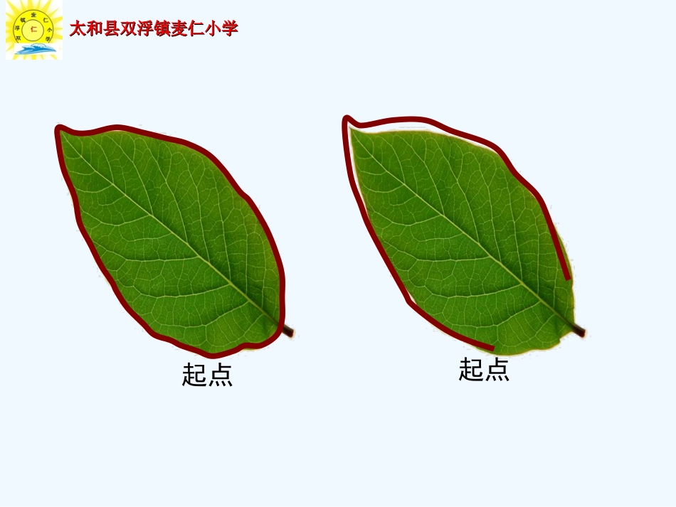 小学数学北师大2011课标版三年级陈晓玉《什么是周长》课件_第3页