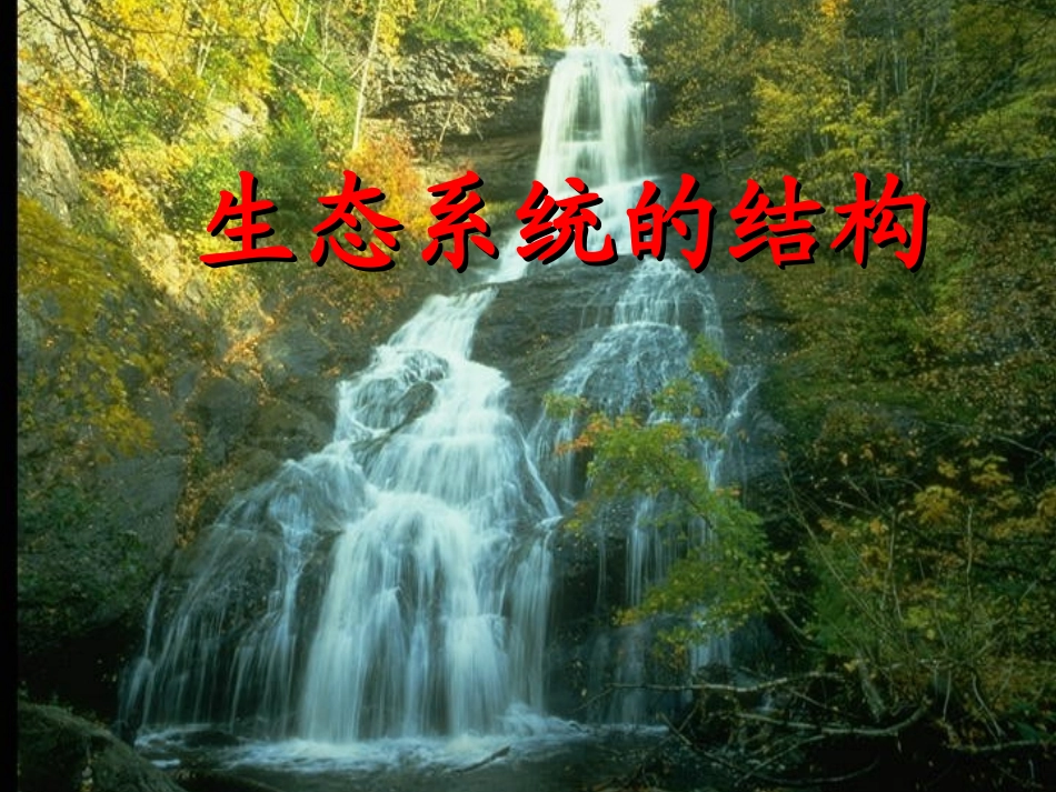 生态系统的结构7_第1页