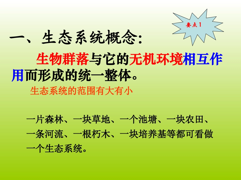 生态系统的结构7_第3页