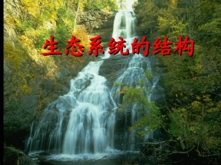 生态系统的结构7