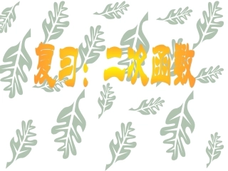 新人教版九年级下数学课件26.1.2二次函数图像和性质