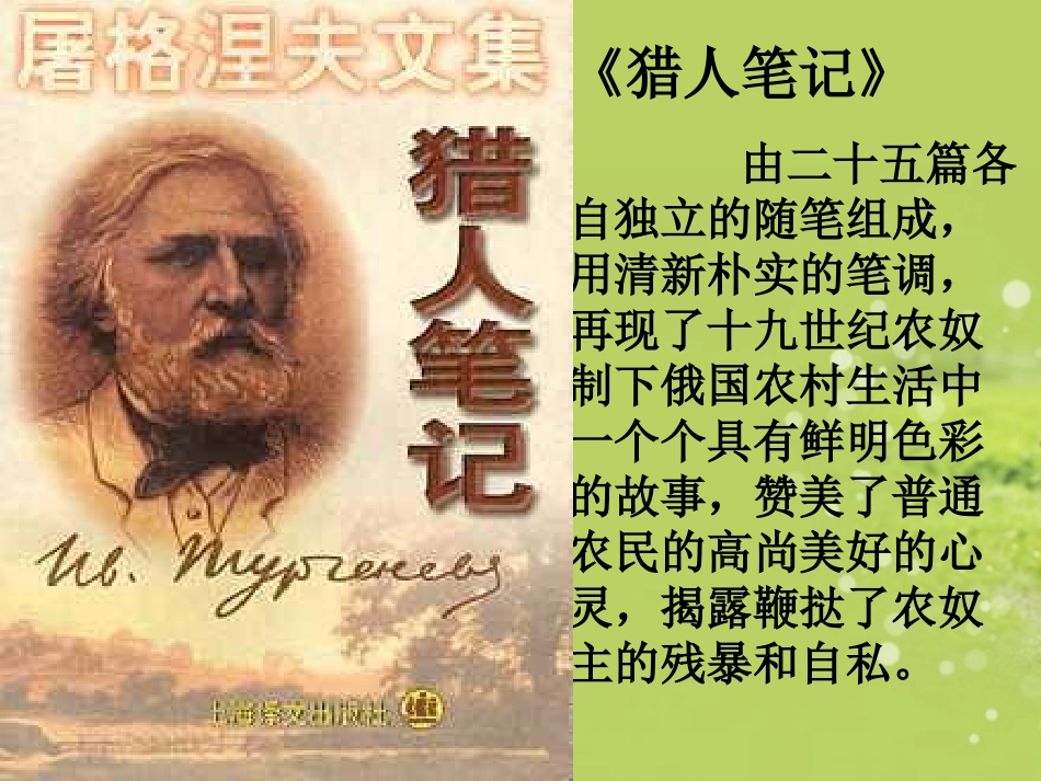 广西南丹县高级中学七年级语文-树林和草原课件-新人教版_第3页