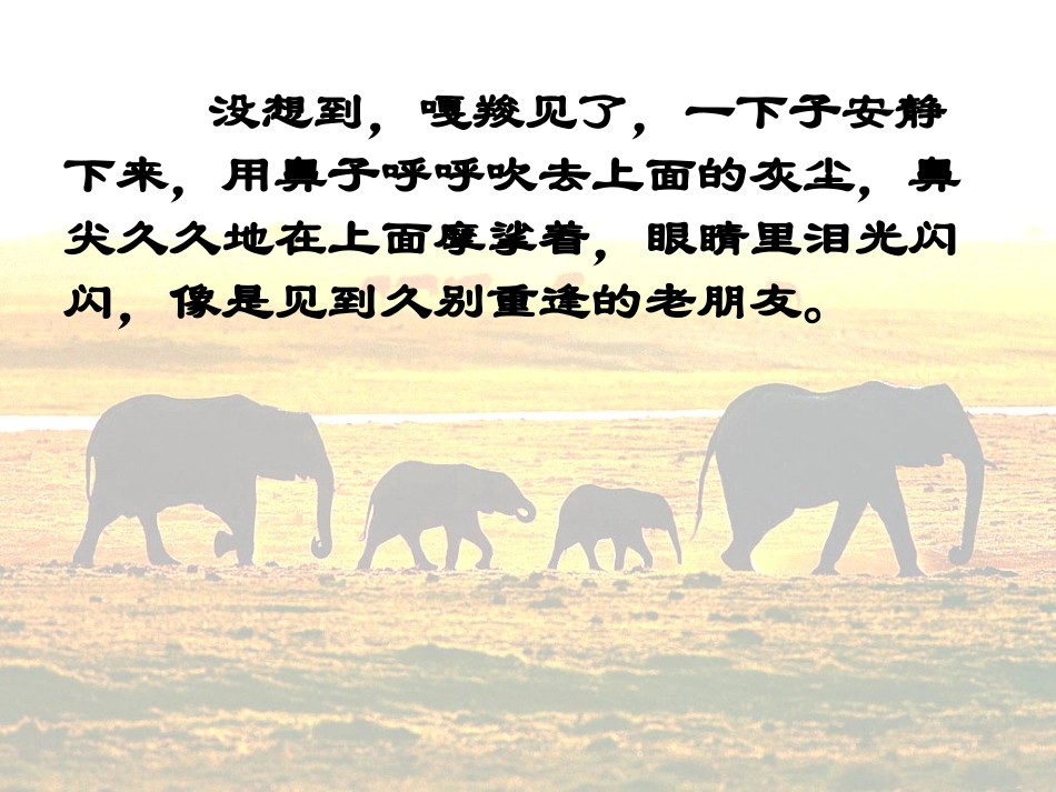 (终稿)最后一头战象PPT课件_第2页