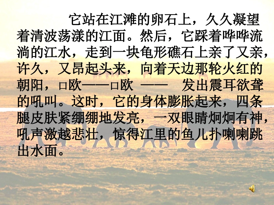 (终稿)最后一头战象PPT课件_第3页