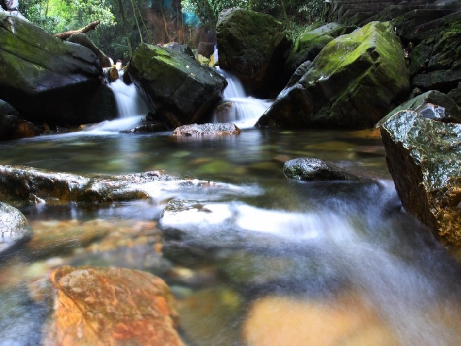 一鼎湖山听泉_第3页