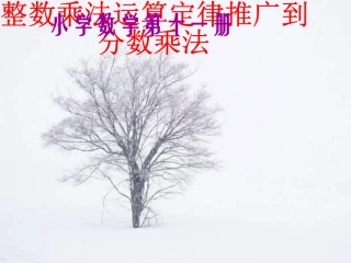 整数乘法运算定律推广到分数乘法