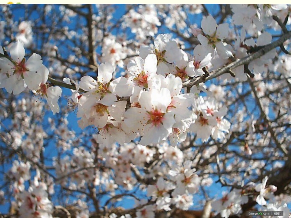 (2016年秋季版)《亲亲大自然》课件_第2页