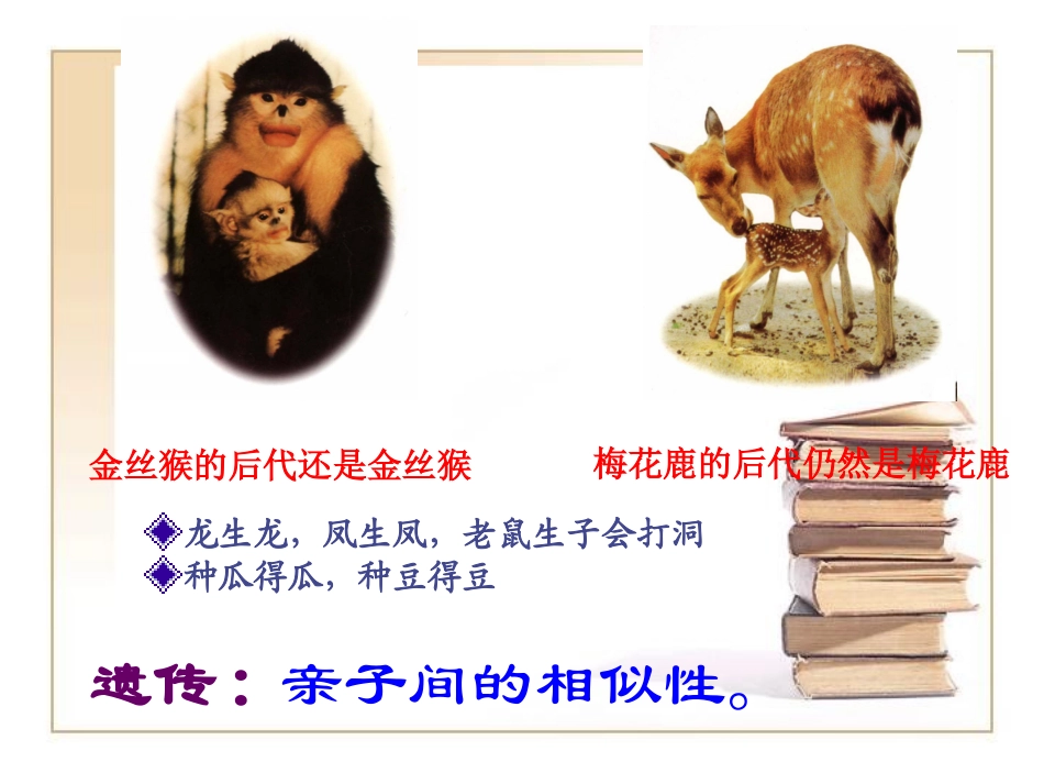 《基因控制生物的性状》参考课件2_第3页