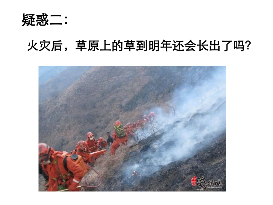 一稳态的概念_第3页