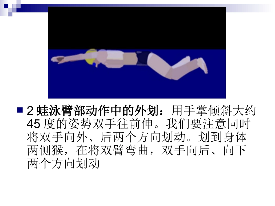 蛙泳完整动作_第3页