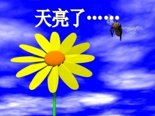 广东省珠海九中七年级思想品德-我们享有上帝的权利课件-人教新课标版