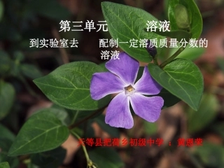 到实验室去：配制一定溶质质量分数的溶液-(2)